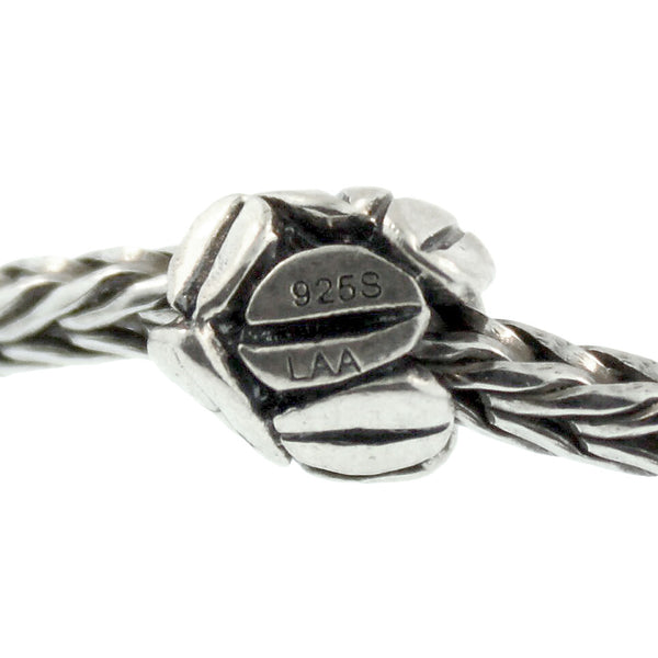 11154 Mocha, Silver