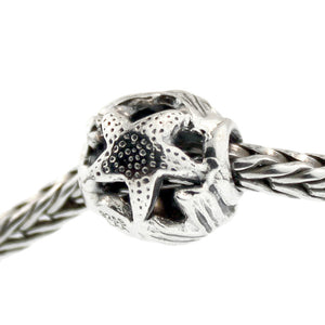Trollbeads 11314 Ocean, Silver