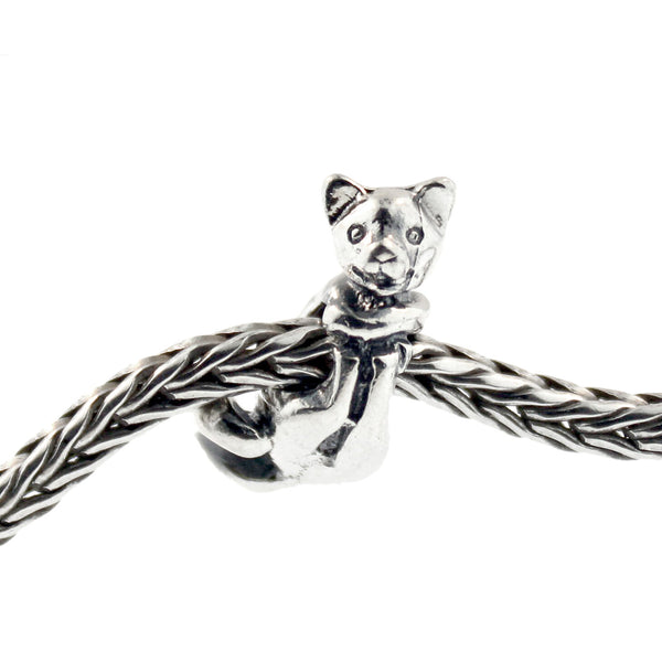 11319 Big Cat