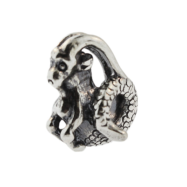 11349 Capricorn