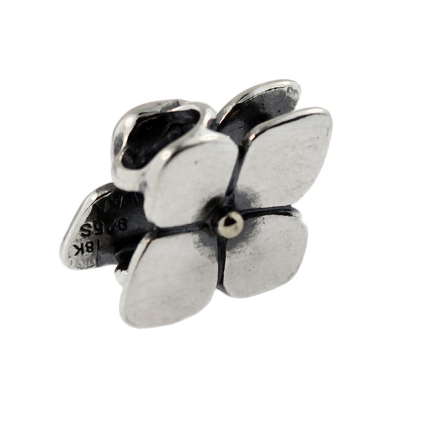 12303 Climbing Hydrangea