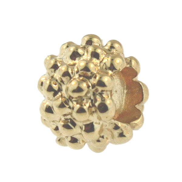21104 Berry, Gold